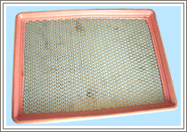 Metalloid Filter